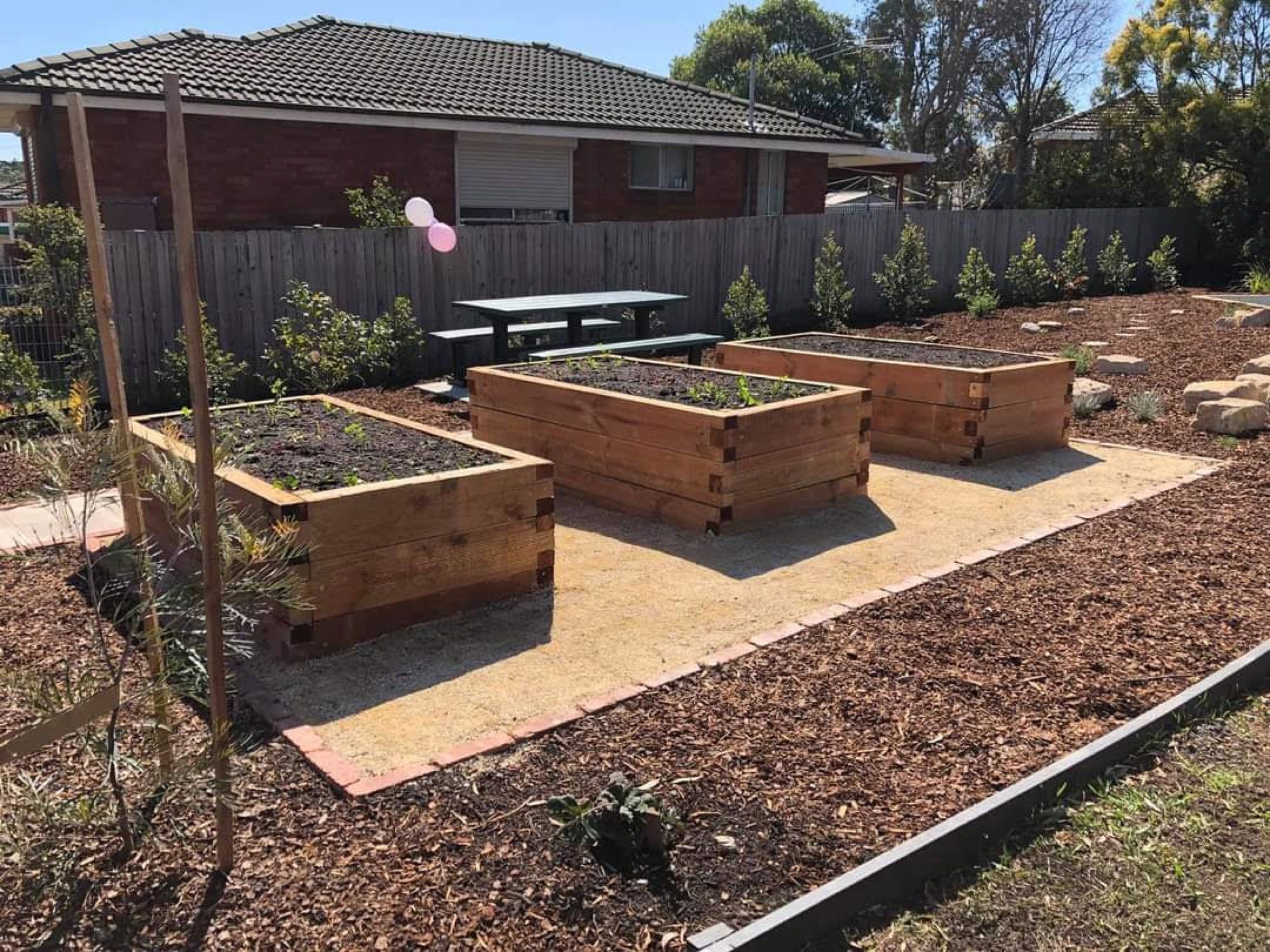 Timber raised garden beds planted with vegetables